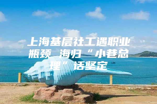 上海基层社工遇职业瓶颈 海归“小巷总理”话坚定