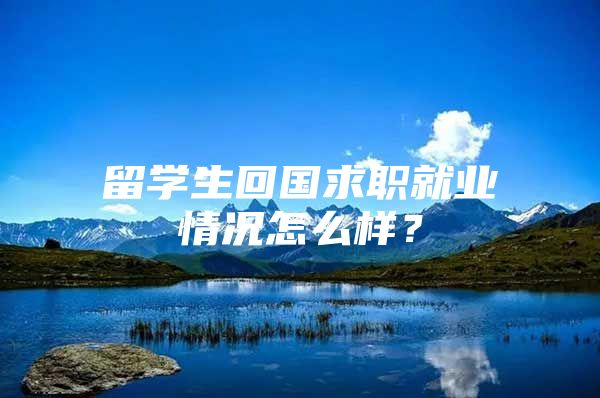 留学生回国求职就业情况怎么样？