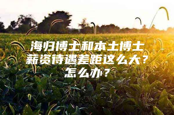 海归博士和本土博士薪资待遇差距这么大？怎么办？