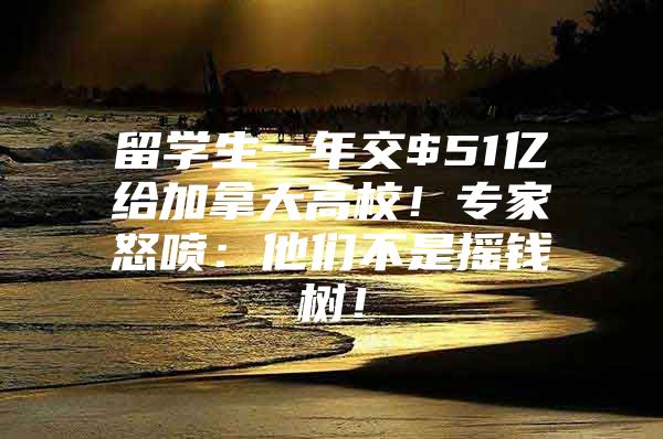 留学生一年交$51亿给加拿大高校！专家怒喷：他们不是摇钱树！