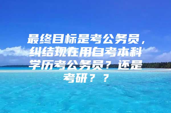 最终目标是考公务员，纠结现在用自考本科学历考公务员？还是考研？？