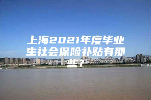 上海2021年度毕业生社会保险补贴有那些？