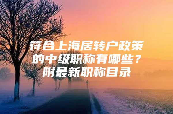 符合上海居转户政策的中级职称有哪些？附最新职称目录