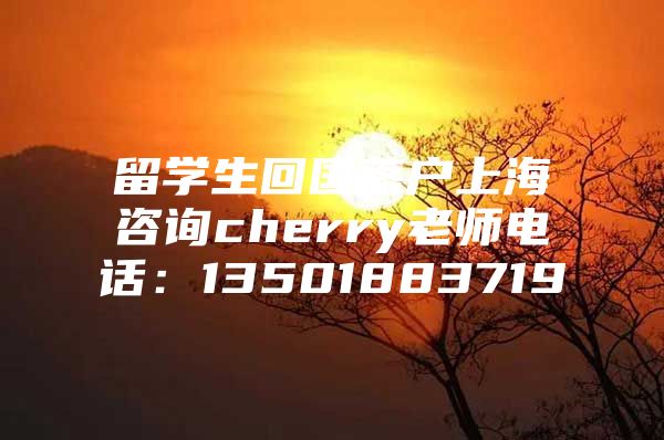 留学生回国落户上海咨询cherry老师电话：13501883719