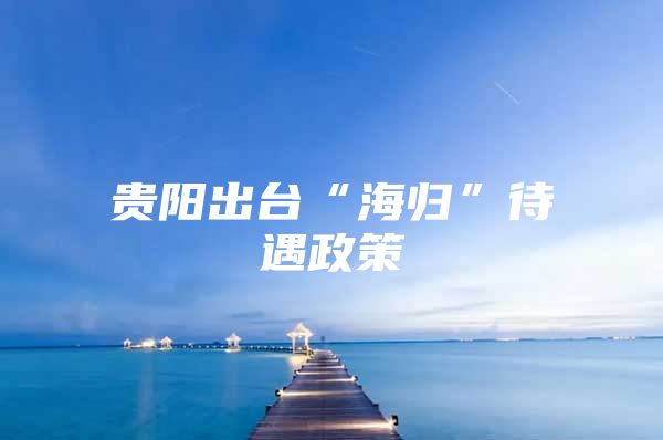 贵阳出台“海归”待遇政策