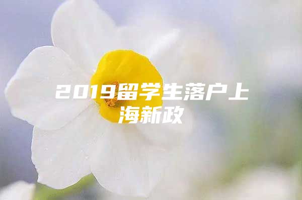 2019留学生落户上海新政