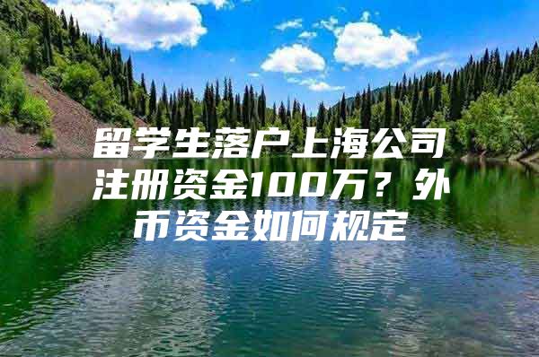 留学生落户上海公司注册资金100万？外币资金如何规定