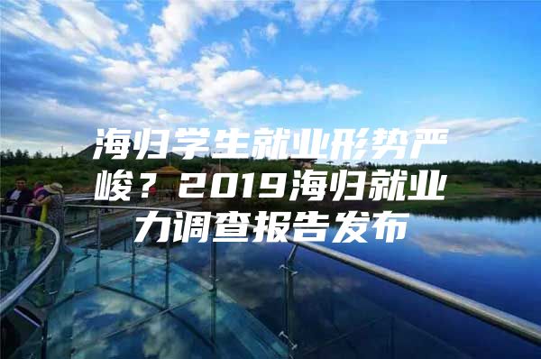 海归学生就业形势严峻？2019海归就业力调查报告发布