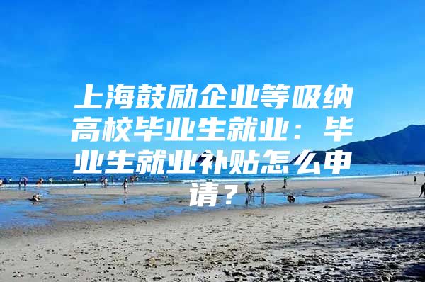 上海鼓励企业等吸纳高校毕业生就业：毕业生就业补贴怎么申请？