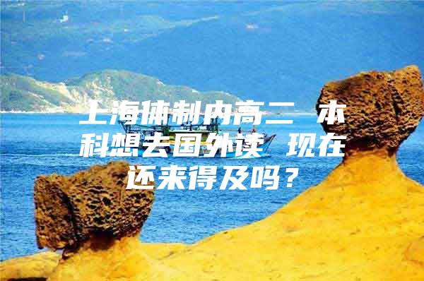 上海体制内高二 本科想去国外读 现在还来得及吗？