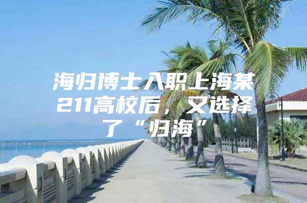 海归博士入职上海某211高校后，又选择了“归海”