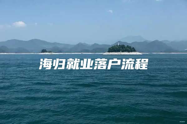 海归就业落户流程