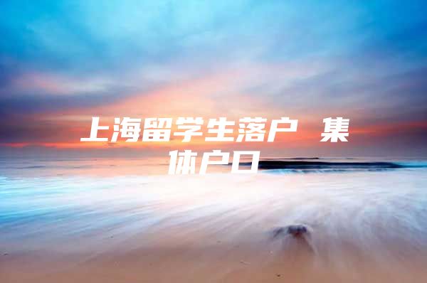 上海留学生落户 集体户口