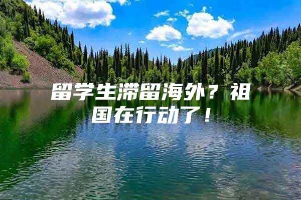 留学生滞留海外？祖国在行动了！