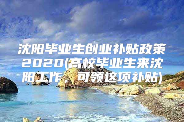 沈阳毕业生创业补贴政策2020(高校毕业生来沈阳工作，可领这项补贴)