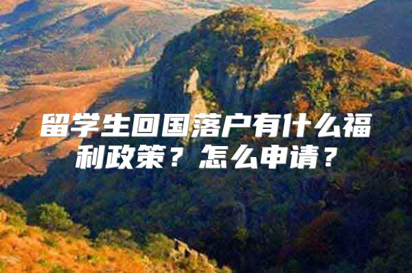 留学生回国落户有什么福利政策？怎么申请？