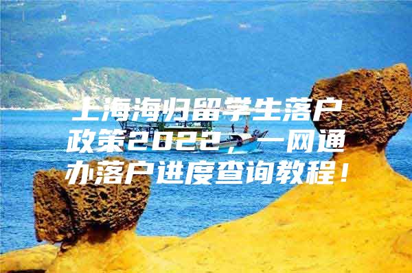 上海海归留学生落户政策2022，一网通办落户进度查询教程！