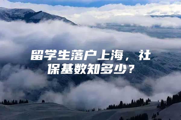 留学生落户上海，社保基数知多少？