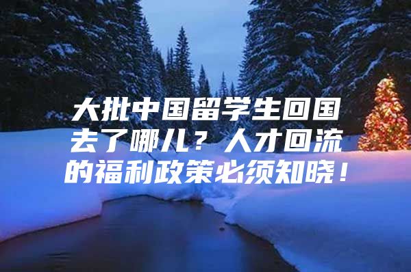 大批中国留学生回国去了哪儿？人才回流的福利政策必须知晓！