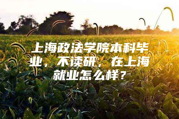 上海政法学院本科毕业，不读研，在上海就业怎么样？