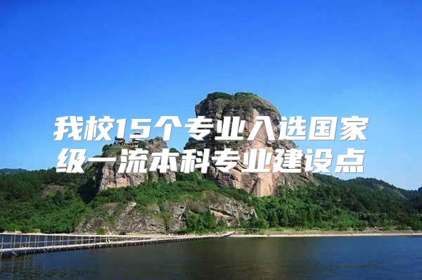 我校15个专业入选国家级一流本科专业建设点