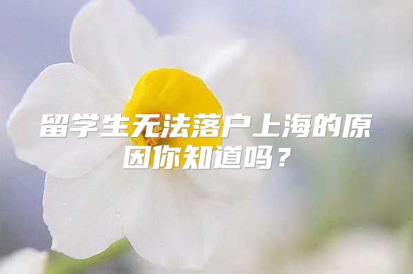 留学生无法落户上海的原因你知道吗？