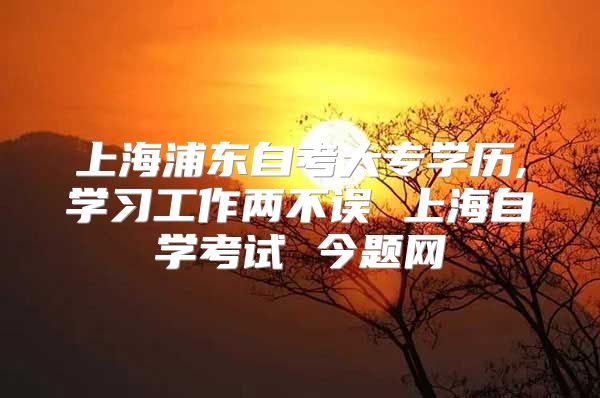 上海浦东自考大专学历,学习工作两不误 上海自学考试 今题网