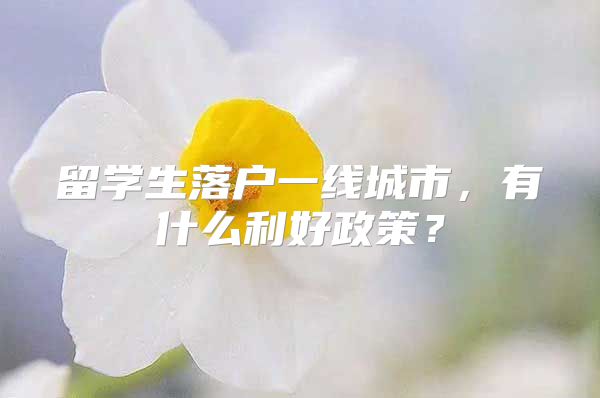 留学生落户一线城市，有什么利好政策？