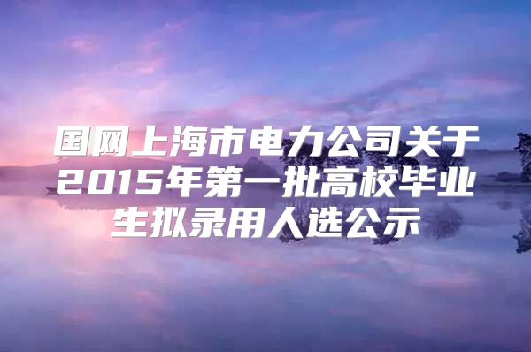 国网上海市电力公司关于2015年第一批高校毕业生拟录用人选公示